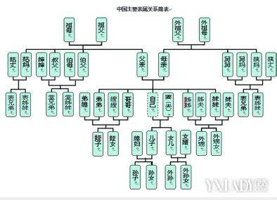 家庭成員關係表